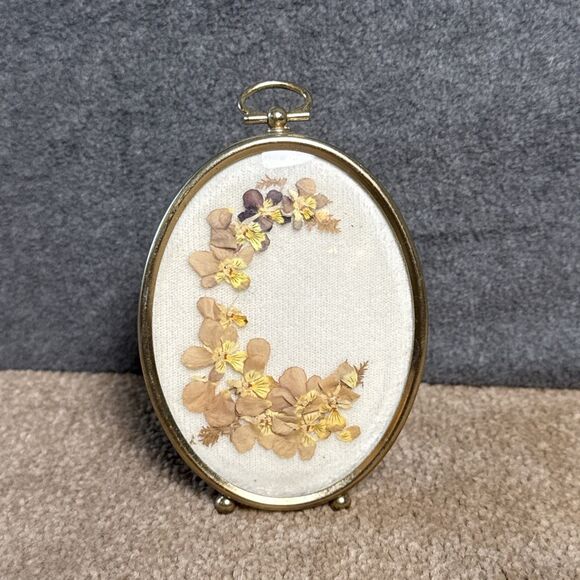 Vintage Small Framed Botanical Flower Pressed Plant Herbarium Specimens Floral - Picture 1 of 6